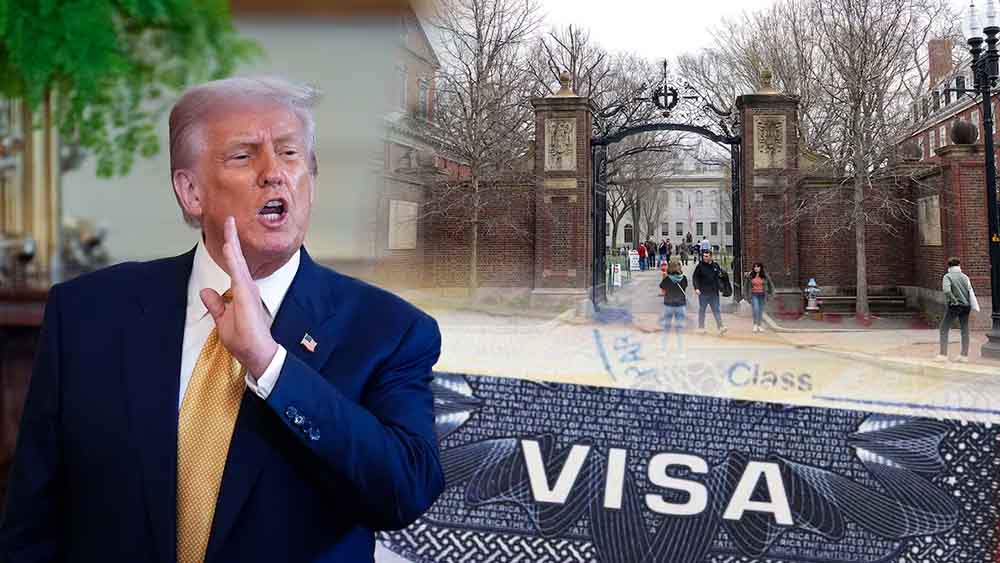 red latina stl, red latina periodico, gobierno, visas, harvard, presidente